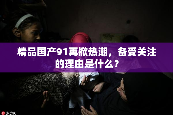 精品国产91再掀热潮，备受关注的理由是什么？