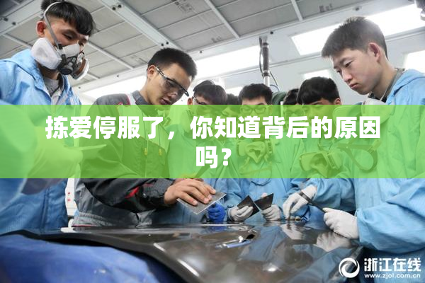 拣爱停服了，你知道背后的原因吗？