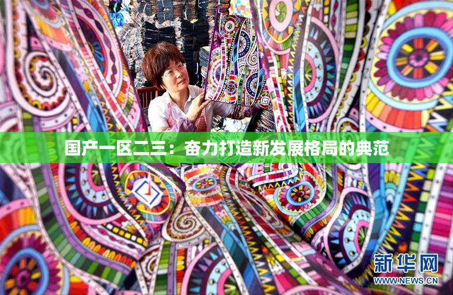 国产一区二三：奋力打造新发展格局的典范