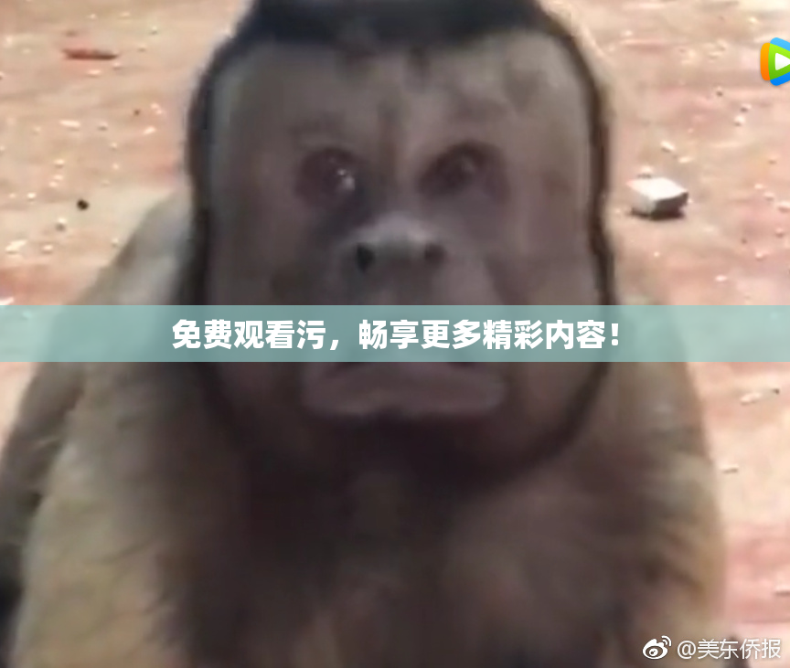 免费观看污，畅享更多精彩内容！