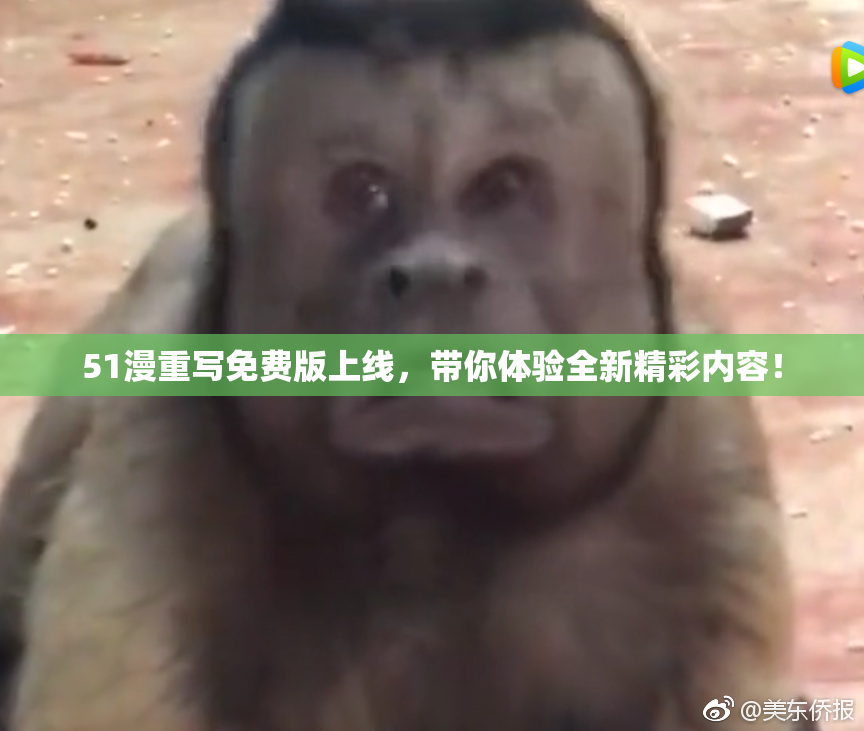 51漫重写免费版上线，带你体验全新精彩内容！