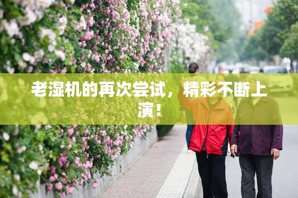 老湿机的再次尝试，精彩不断上演！