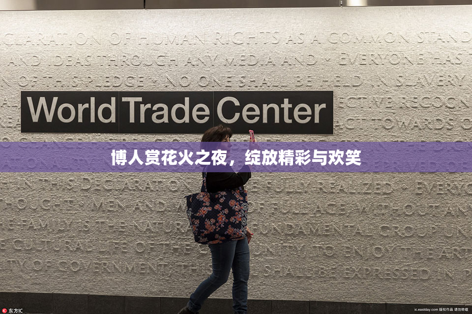博人赏花火之夜，绽放精彩与欢笑