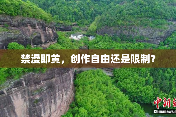 禁漫即黄，创作自由还是限制？