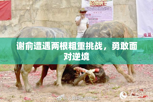 谢俞遭遇两根粗重挑战，勇敢面对逆境