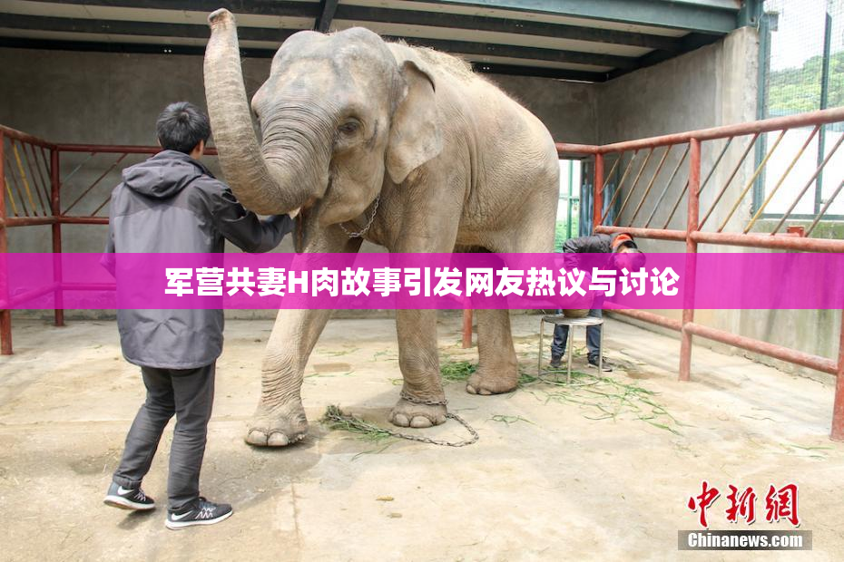 军营共妻H肉故事引发网友热议与讨论