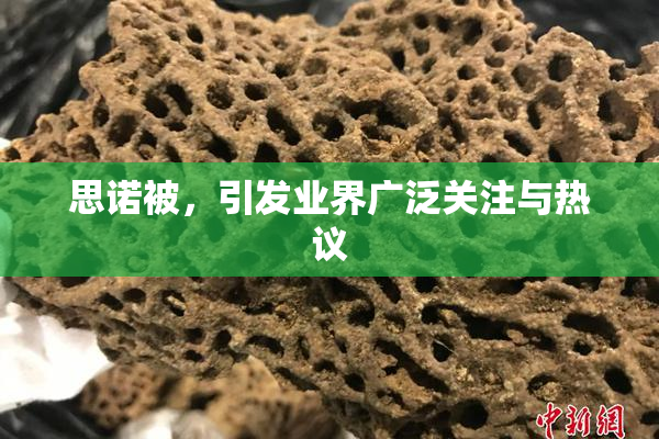 思诺被，引发业界广泛关注与热议