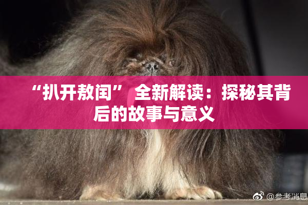 “扒开敖闰” 全新解读：探秘其背后的故事与意义