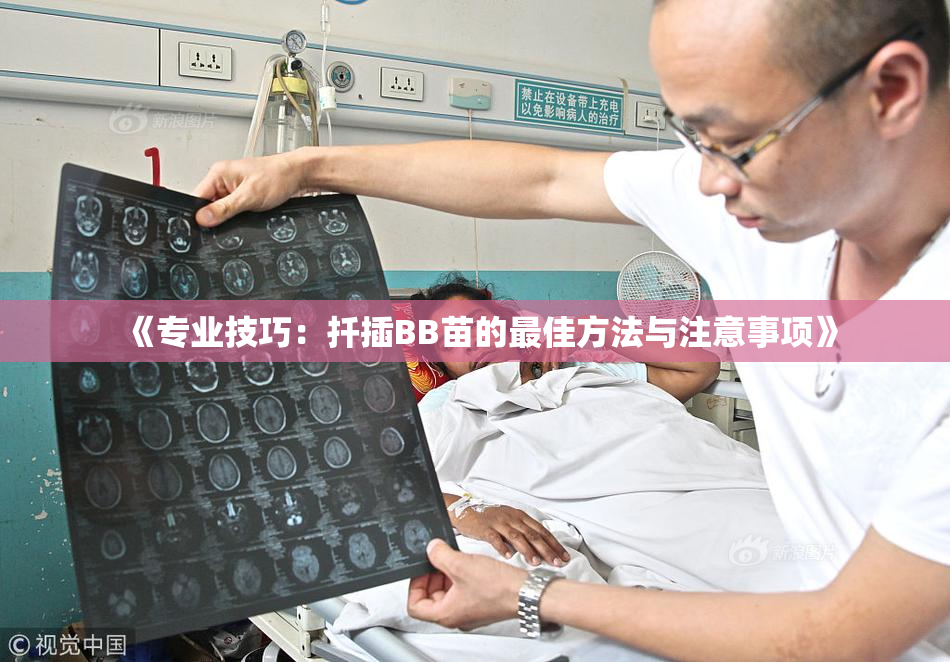 《专业技巧：扦插BB苗的最佳方法与注意事项》