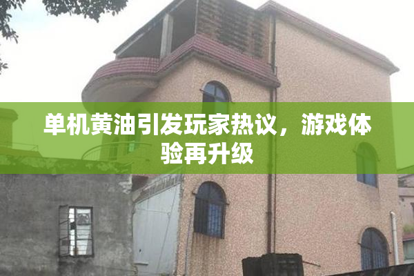 单机黄油引发玩家热议，游戏体验再升级