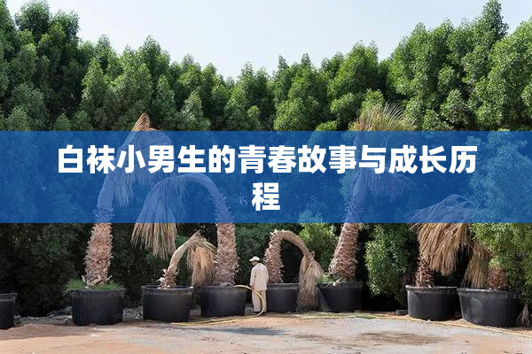 白袜小男生的青春故事与成长历程