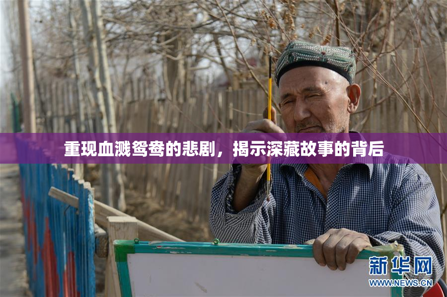 重现血溅鸳鸯的悲剧，揭示深藏故事的背后