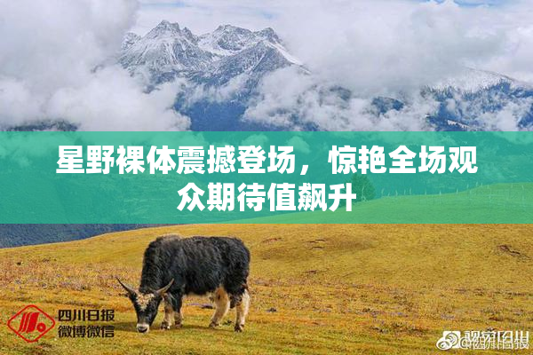 星野裸体震撼登场，惊艳全场观众期待值飙升