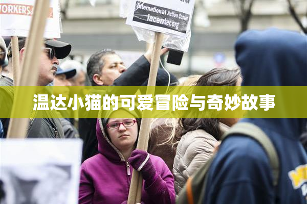 温达小猫的可爱冒险与奇妙故事