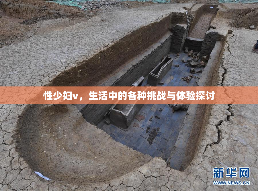 性少妇v，生活中的各种挑战与体验探讨