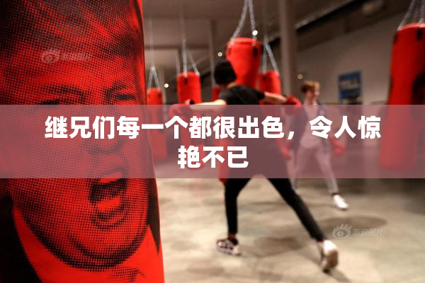 继兄们每一个都很出色，令人惊艳不已
