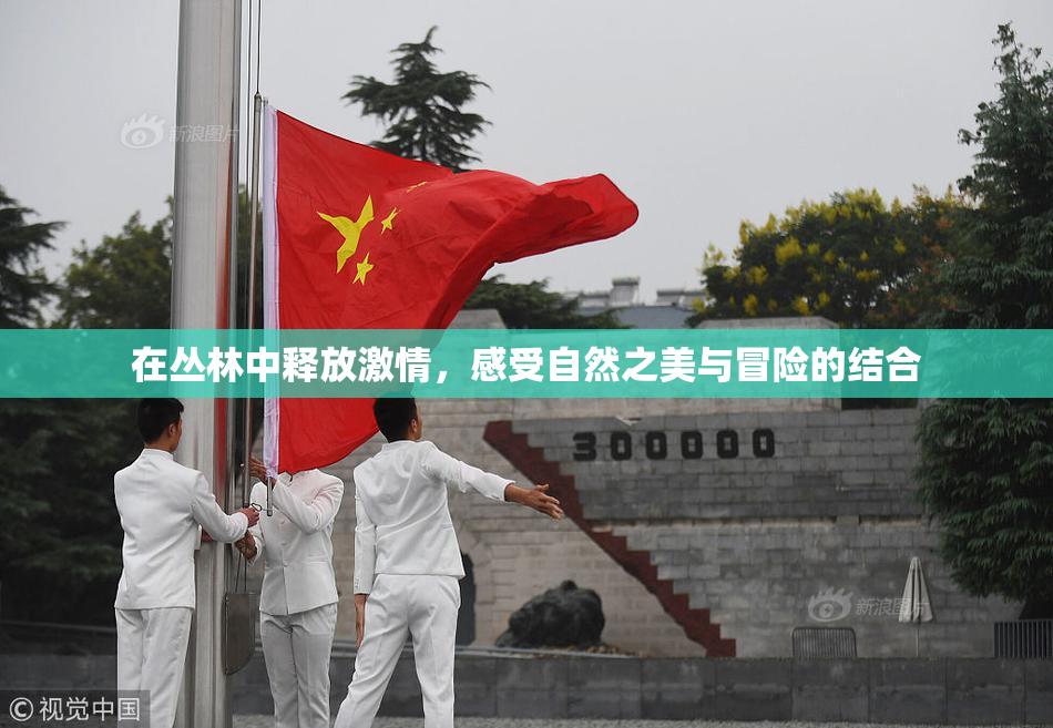 在丛林中释放激情，感受自然之美与冒险的结合