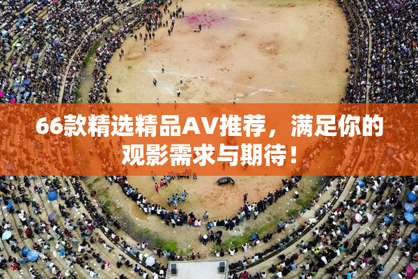 66款精选精品AV推荐，满足你的观影需求与期待！