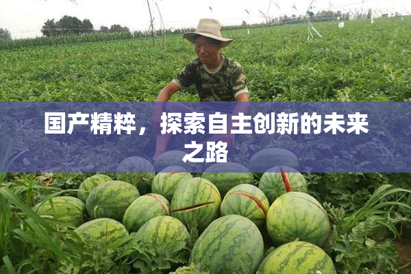 国产精粹，探索自主创新的未来之路