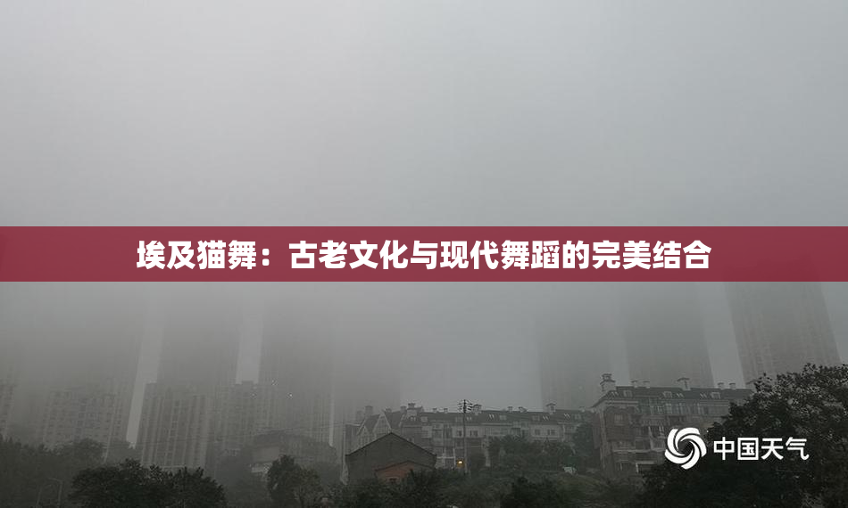 埃及猫舞：古老文化与现代舞蹈的完美结合