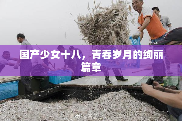国产少女十八，青春岁月的绚丽篇章