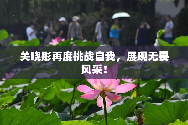关晓彤再度挑战自我，展现无畏风采！