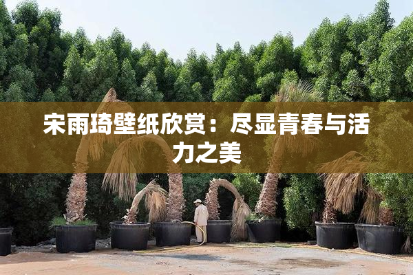 宋雨琦壁纸欣赏：尽显青春与活力之美