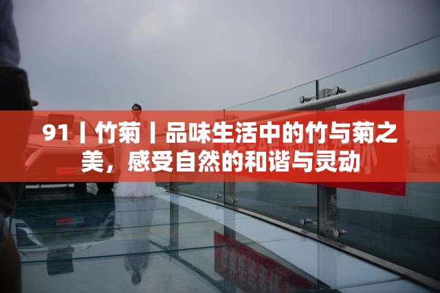 91丨竹菊丨品味生活中的竹与菊之美，感受自然的和谐与灵动