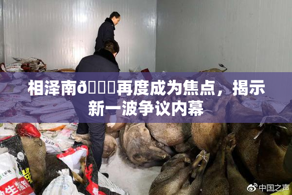 相泽南😚再度成为焦点，揭示新一波争议内幕