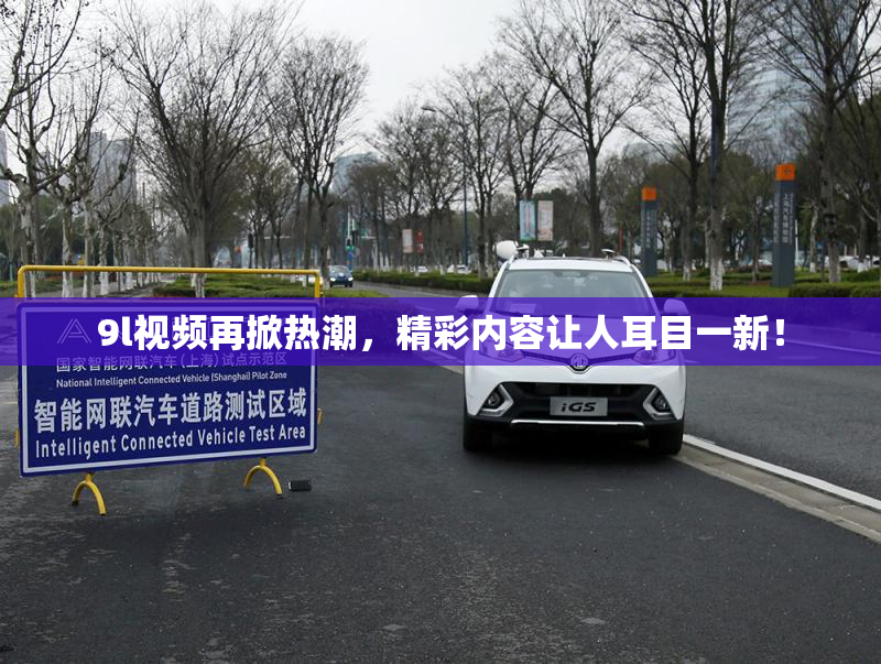 9l视频再掀热潮，精彩内容让人耳目一新！