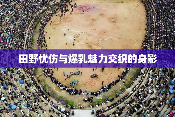 田野忧伤与爆乳魅力交织的身影