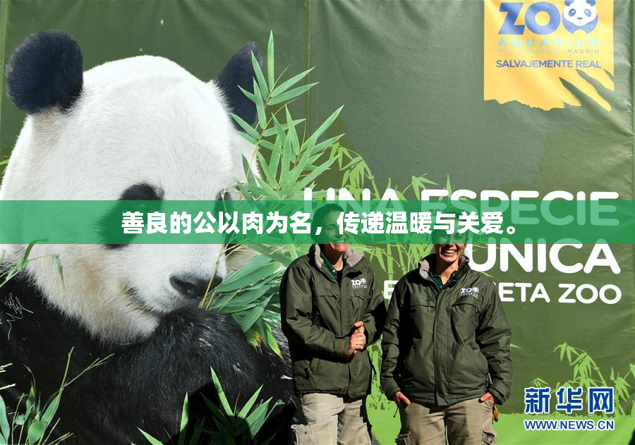善良的公以肉为名，传递温暖与关爱。