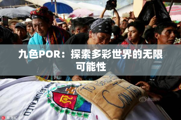 九色POR：探索多彩世界的无限可能性