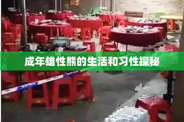 成年雄性熊的生活和习性探秘