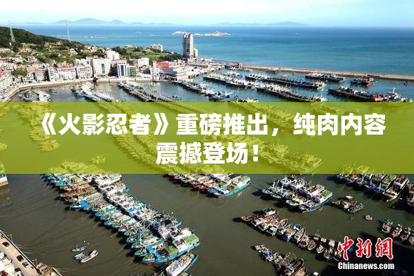 《火影忍者》重磅推出，纯肉内容震撼登场！
