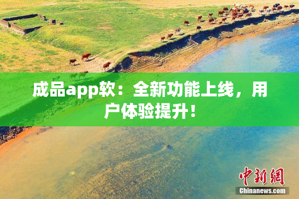 成品app软：全新功能上线，用户体验提升！