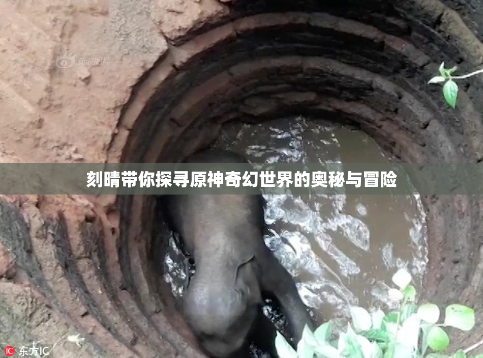刻晴带你探寻原神奇幻世界的奥秘与冒险
