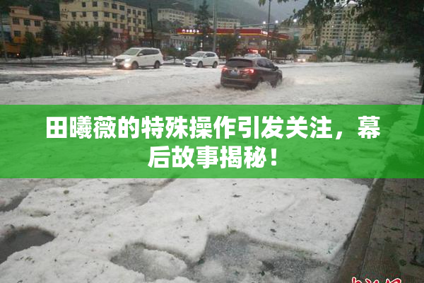 田曦薇的特殊操作引发关注，幕后故事揭秘！
