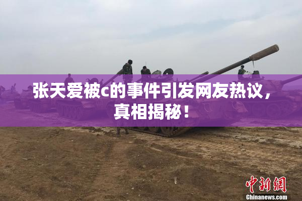 张天爱被c的事件引发网友热议，真相揭秘！