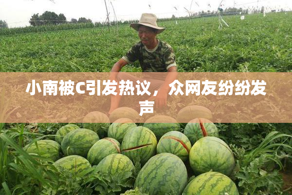 小南被C引发热议，众网友纷纷发声