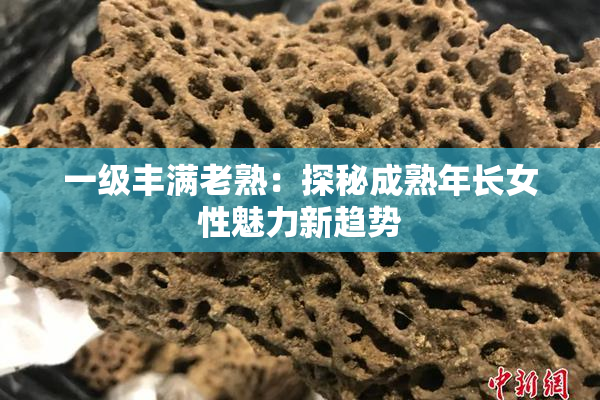一级丰满老熟：探秘成熟年长女性魅力新趋势