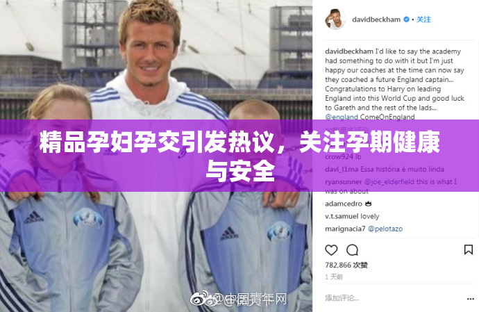 精品孕妇孕交引发热议，关注孕期健康与安全