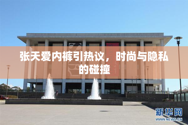 张天爱内裤引热议，时尚与隐私的碰撞