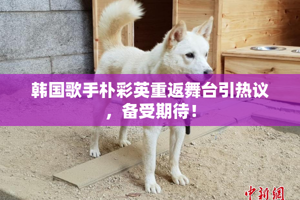 韩国歌手朴彩英重返舞台引热议，备受期待！