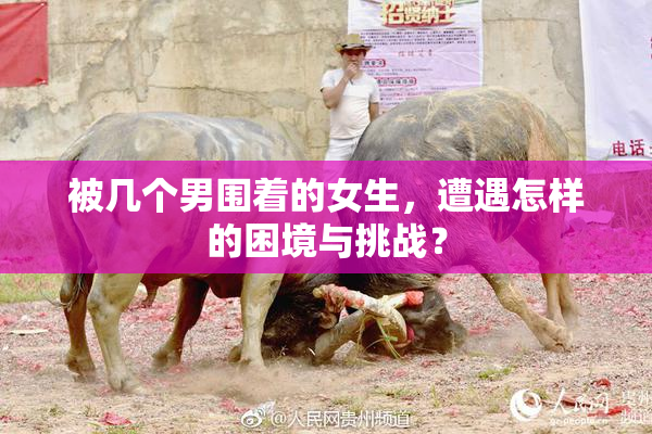 被几个男围着的女生，遭遇怎样的困境与挑战？