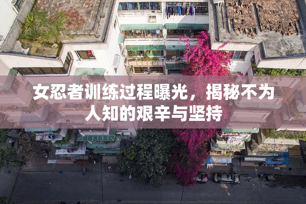 女忍者训练过程曝光，揭秘不为人知的艰辛与坚持
