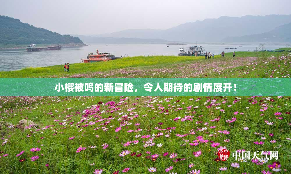 小樱被鸣的新冒险，令人期待的剧情展开！