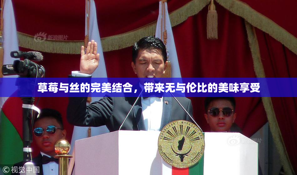 草莓与丝的完美结合，带来无与伦比的美味享受