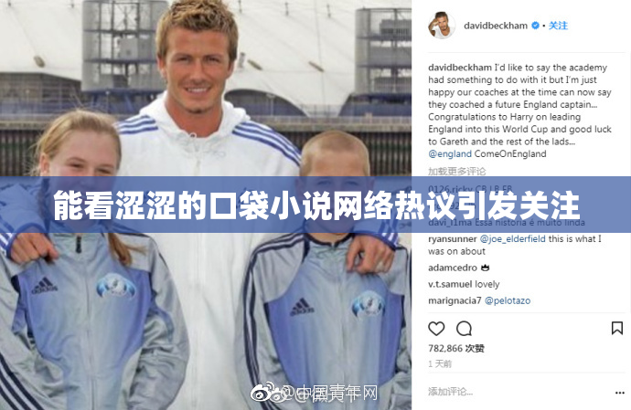 能看涩涩的口袋小说网络热议引发关注