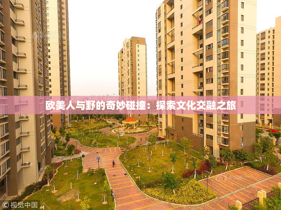 欧美人与野的奇妙碰撞：探索文化交融之旅
